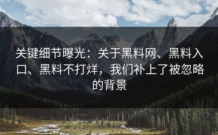 关键细节曝光：关于黑料网、黑料入口、黑料不打烊，我们补上了被忽略的背景
