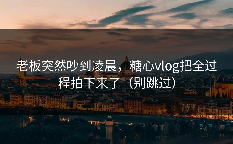 老板突然吵到凌晨，糖心vlog把全过程拍下来了（别跳过）