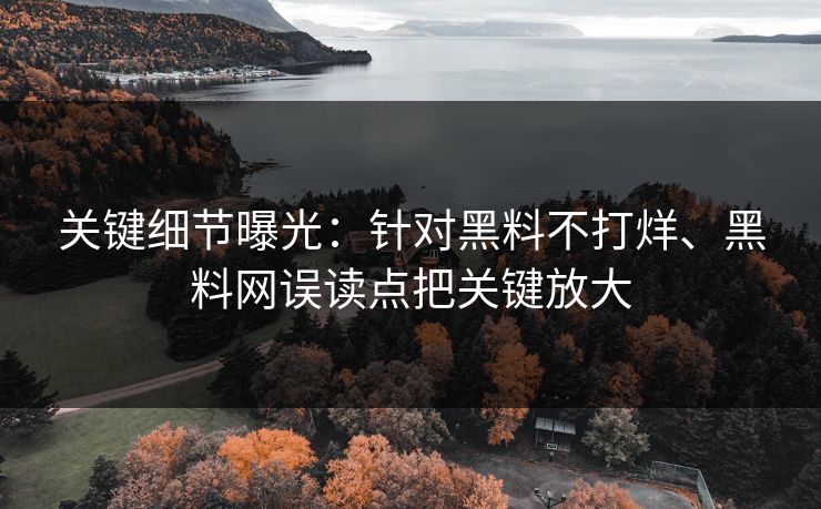 关键细节曝光：针对黑料不打烊、黑料网误读点把关键放大