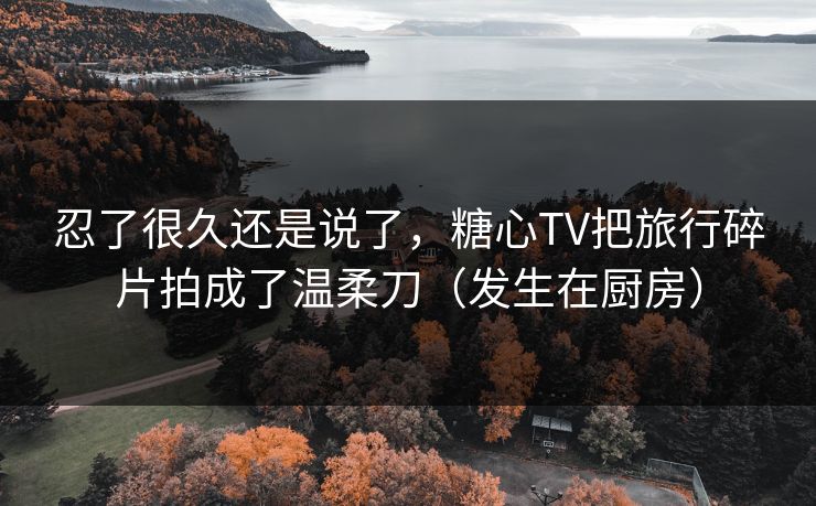 忍了很久还是说了，糖心TV把旅行碎片拍成了温柔刀（发生在厨房）