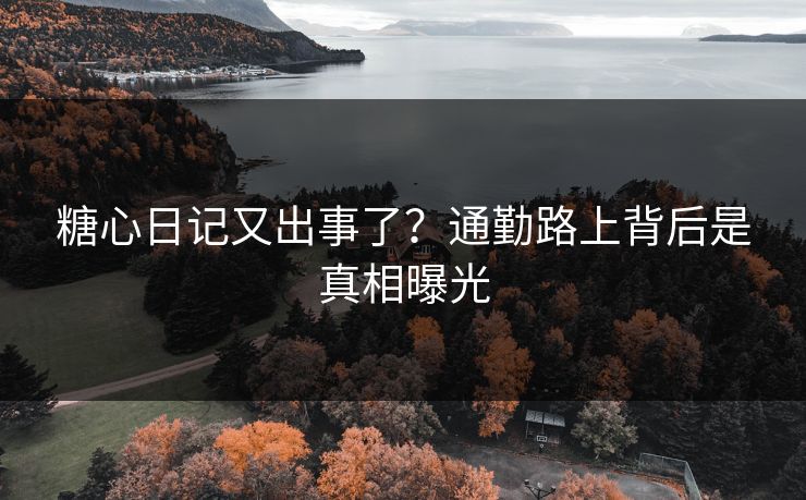 糖心日记又出事了？通勤路上背后是真相曝光