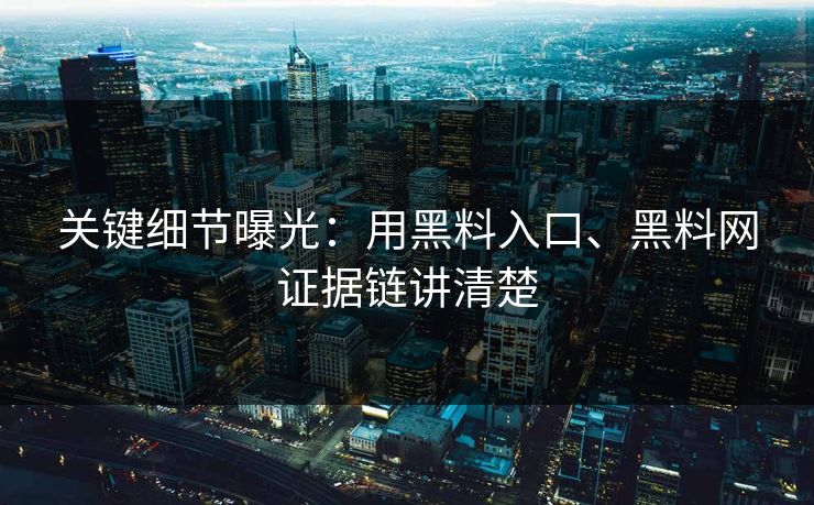 关键细节曝光：用黑料入口、黑料网证据链讲清楚