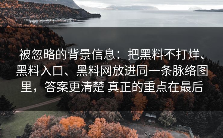 被忽略的背景信息：把黑料不打烊、黑料入口、黑料网放进同一条脉络图里，答案更清楚 真正的重点在最后