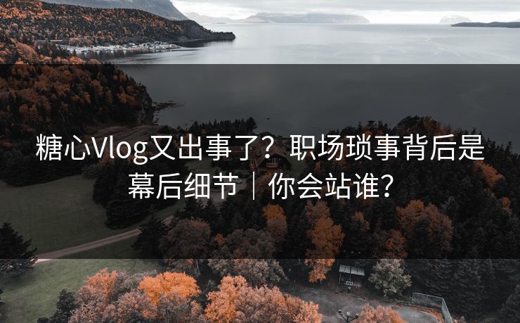 糖心Vlog又出事了？职场琐事背后是幕后细节｜你会站谁？