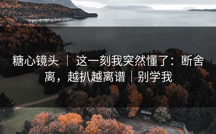 糖心镜头 ｜ 这一刻我突然懂了：断舍离，越扒越离谱｜别学我